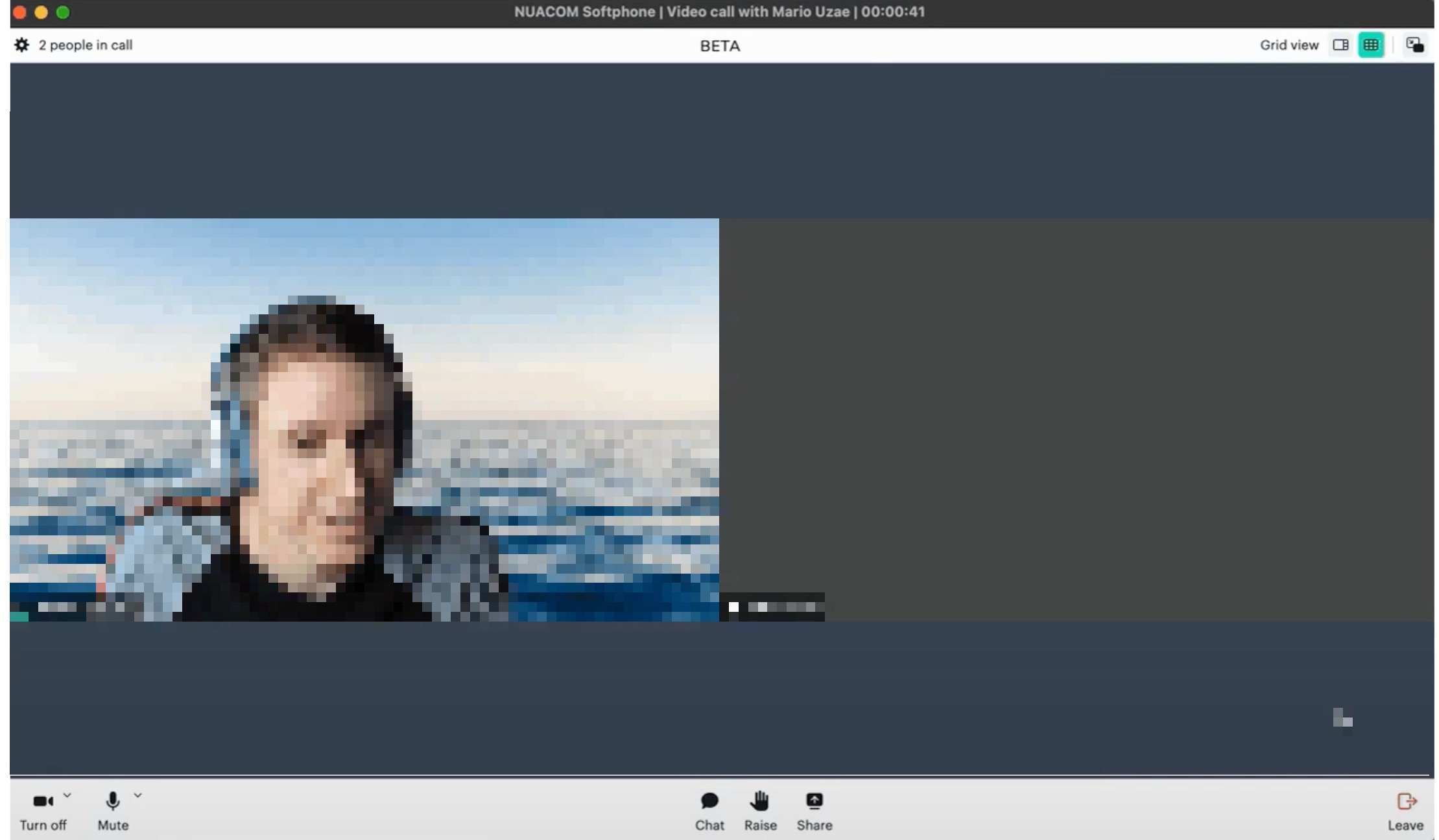 In videocall.jpg